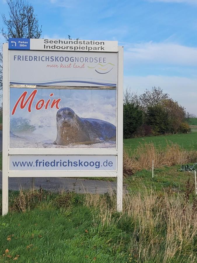 Deichwohnung Strandweg 7 Friedrichskoog Spitze Bagian luar foto