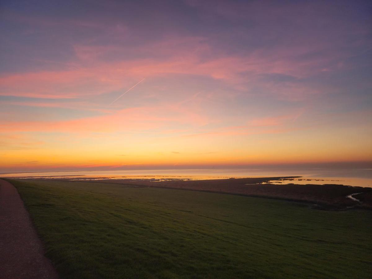 Deichwohnung Strandweg 7 Friedrichskoog Spitze Bagian luar foto